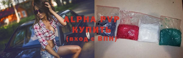 ПСИЛОЦИБИНОВЫЕ ГРИБЫ Вязники